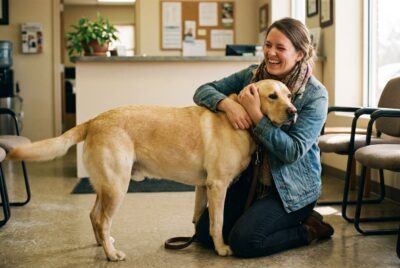 My Dog Ate Chocolate: A Burlington Vet's Guide to What to Do