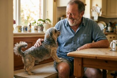 My Dog Won't Eat: When a Loss of Appetite Is an Emergency