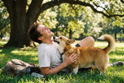Why Is My Dog Scratching So Much? Late-Summer Allergies in Burlington